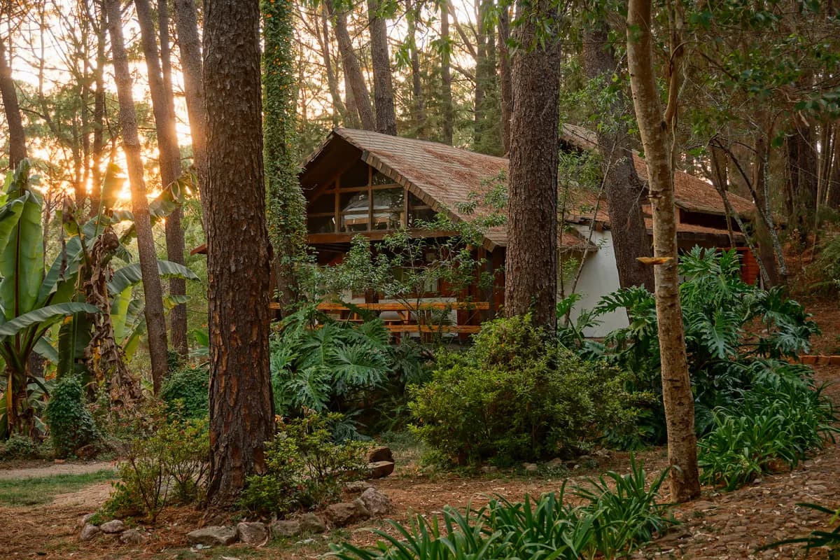 Fotografía de Cabaña Tigrillo